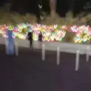 ささみの画像
