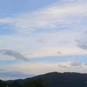 キューピー