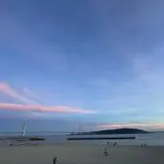 アラレの画像