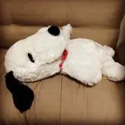 とのの画像