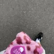 ちの画像