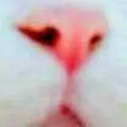 ☁Noël