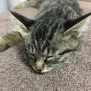 りー♡