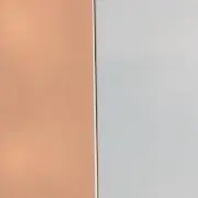 にゅの画像
