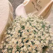 むんの画像