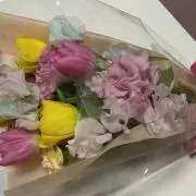 yumeの画像