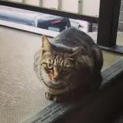 ケータの画像