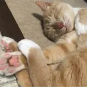 激安❤︎在庫セール❤︎プロフ確認！