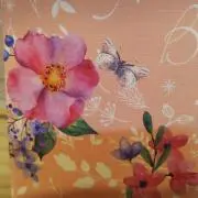 ハナ　プロフ必読お願いします。の画像