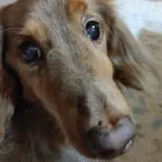 さえきちの画像
