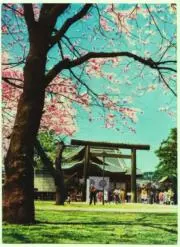 ⛩❁[神鷲]❁⛩
