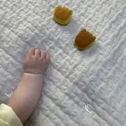 ぴーの画像