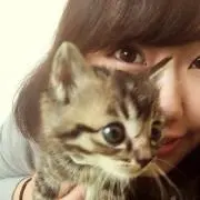 チョコミント