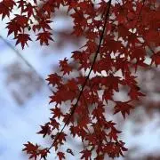 けけ ※プロフ確認推奨の画像