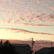 梅