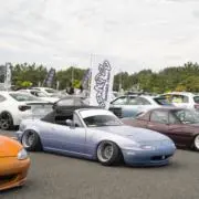 きの画像