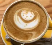 キャラメルの画像