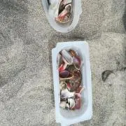 まろこの画像