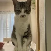 コジュン　開封時動画撮影　再シュリ即通報の画像