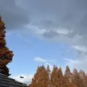 ナッツの画像