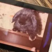 usamuの画像