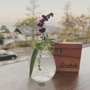 あんこの画像