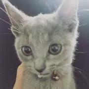 RICO★