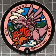 サトルの画像