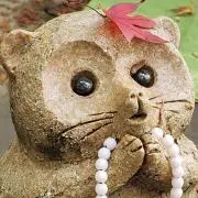 さきら