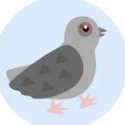 はとこの画像
