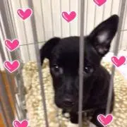 グランデ♡