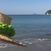 lanimoana