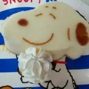 cocoの画像