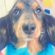 ブルーのママ【フォロー割あり】