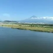 犬の画像