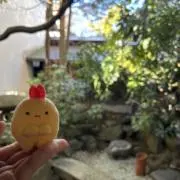 ぴもみゃ