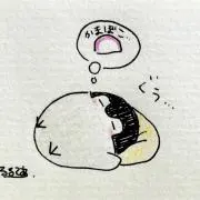 ここあ★定価以下多数の画像