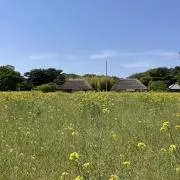 as