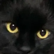 ちよこれーとの画像