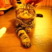 らってぃ