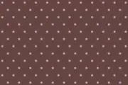 Pの画像