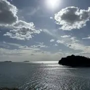 ごまの画像