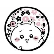 白うさぎ11