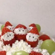 もんちの画像