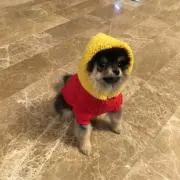 EHEHの画像