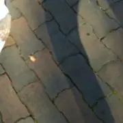 かつ@