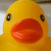 meiの画像