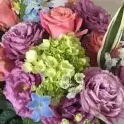 Pekoの画像