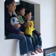 いずみずき