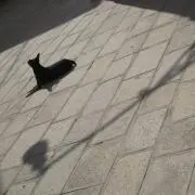 CHIKOの画像